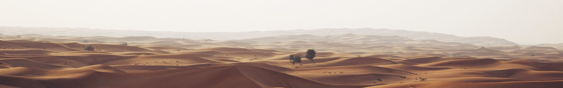 Ļó޹˾